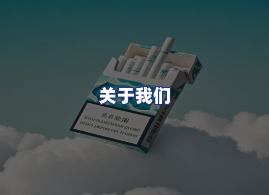 专业团队